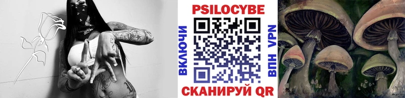 купить закладку  Тюкалинск  мега маркетплейс  Псилоцибиновые грибы MAGIC MUSHROOMS 